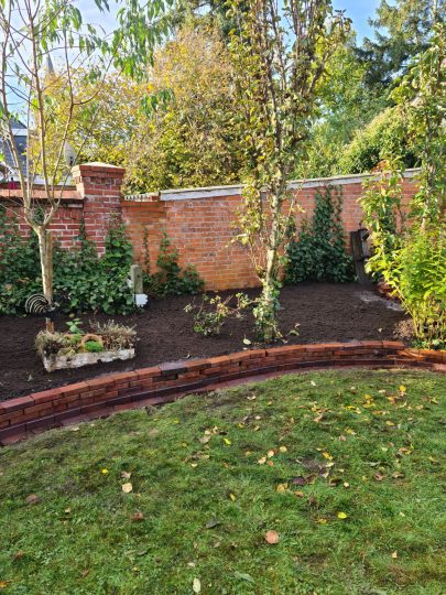 Gartenbereich gepflegt und neu aufgewertet