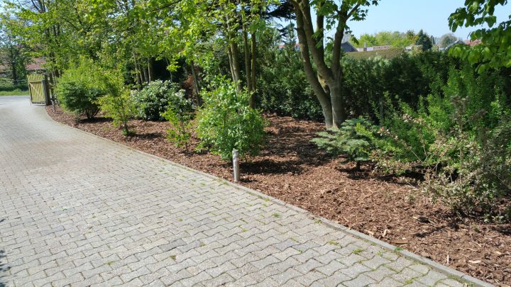 Beet gepflegt und mit Rindenmulch aufgewertet