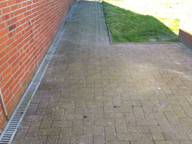 Fläche gründlich von Unkraut befreit